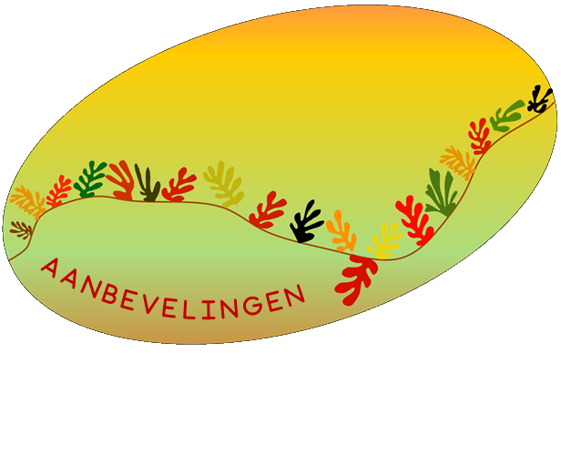 aanbevelingen